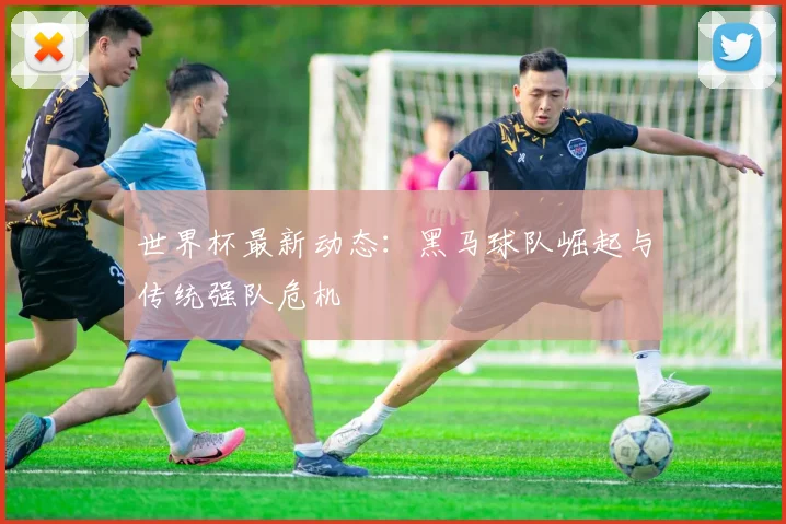 世界杯最新动态:黑马球队崛起与传统强队危机
