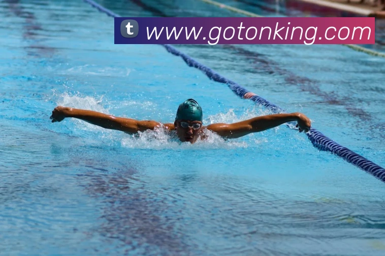 互动解说服务
